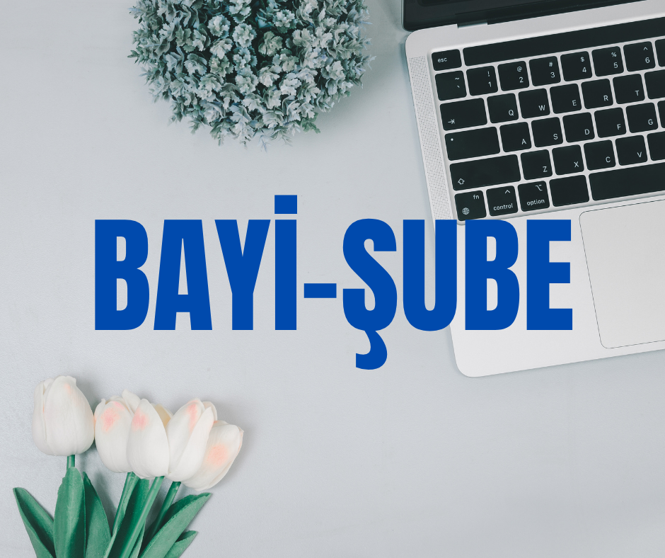 Bayi, Şube Yazılımı